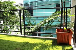 een balkon met een plant in een mand voor een gebouw bij Live like a local in Ekkamai in Bangkok