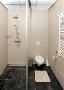 a bathroom with a toilet and a shower at Camping en vakantiewoning 'Ut Tumpke' in Kessel