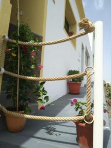 une corde attachée à un bâtiment avec des plantes en pot dans l'établissement Casa Daniel, à Costa Teguise