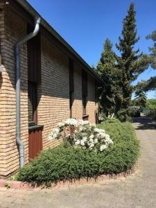 un edificio con un arbusto con flores delante en Ferienhaus Busch en Leipzig