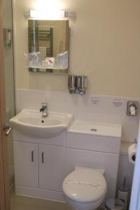 een badkamer met een wastafel, een toilet en een spiegel bij Gonalston Boutique B&B in Lowdham