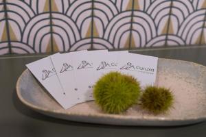 Fotografie z fotogalerie ubytování Hotel A Curuxa Wellness v destinaci Arzúa