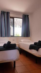 Fotografia z galérie ubytovania Apartamentos Isla Bonita v destinácii Puerto Rico de Gran Canaria