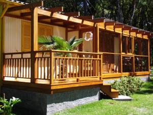 a house with a deck with a plant on it at Recanto na Montanha de Gramado in Gramado