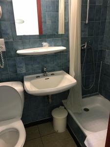 La salle de bains est pourvue d'un lavabo, de toilettes et d'une baignoire. dans l'établissement Hôtel Myosotis, à Lourdes