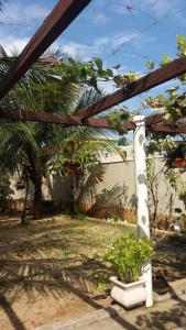 a garden with a pergola and plants in a yard at Casa em Arraial / Monte Alto in Arraial do Cabo