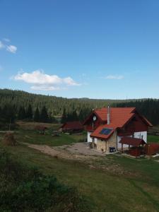 a house with a red roof in a field at Pensiunea Agroturistica Alexandra in Smida
