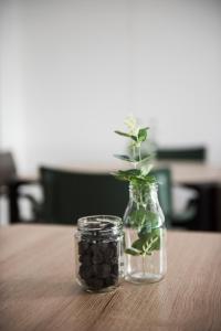 two glass jars with a plant in them on a table at Volcanic Charming House in Ribeira Grande