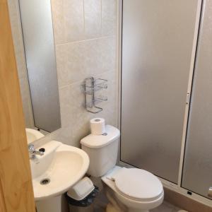 a small bathroom with a toilet and a sink at Cabañas Sur Patagón in Puerto Varas