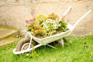 a wheelbarrow filled with flowers sitting in the grass at Chalé saí azul in Penedo