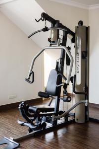 Fitness centrum a/nebo fitness zařízení v ubytování City View Apartment