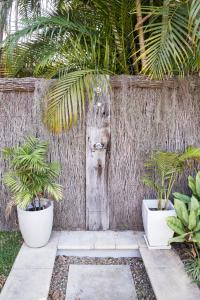 a garden with a wooden door and some plants at Bayhaven Lodge in Byron Bay