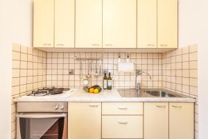 Kuchyň nebo kuchyňský kout v ubytování Ferienhaus Rajka