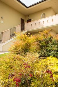 Zahrada ubytování Hotel Residence Eden