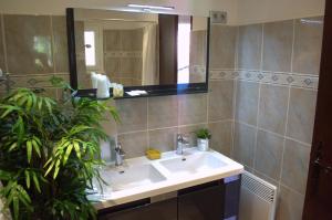 a bathroom with a sink and a mirror and a plant at Lou Cigaloun in Saint Antonin du Var