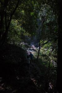 Επισκέπτες που μένουν στο Tree Houses by Jungle River