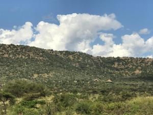 Una colina con árboles en ella con un cielo nublado en La Maison Royale Masai Mara, en Sekenani