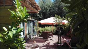 eine Terrasse mit Tisch und Sonnenschirm in der Unterkunft De Zes Wielen in Alkmaar