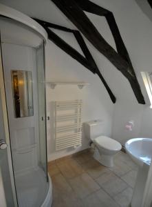 a bathroom with a shower and a toilet and a sink at Le Passage in La Charité-sur-Loire