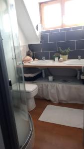 een badkamer met een toilet, een wastafel en een spiegel bij Chambre d'hôtes La Maison du Neuilly in Le Conquet