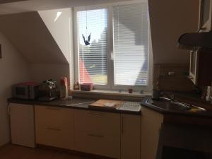 eine Küche mit einer Theke mit einer Spüle und 2 Fenstern in der Unterkunft Apartmán Horní Lipová in Lipová-lázně
