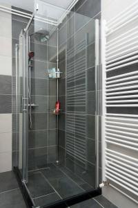 La salle de bains est pourvue d'une douche avec une porte en verre. dans l'établissement Apartman Park, à Daruvar