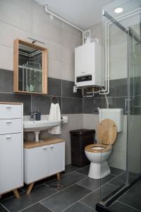 La salle de bains est pourvue de toilettes, d'un lavabo et d'une douche. dans l'établissement Apartman Park, à Daruvar
