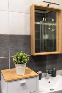 a bathroom with a sink and a potted plant on a counter at Apartman Park in Daruvar