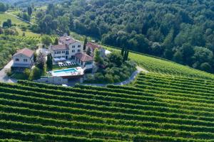 een luchtzicht op een wijngaard en een huis op een heuvel bij ROMANTIK Relais d'Arfanta in Tarzo
