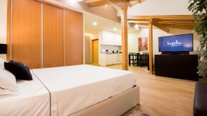 ペーゾ・ダ・レーグアにあるBugalha My Loft Douro 10のベッドルーム(大型ベッド1台、薄型テレビ付)