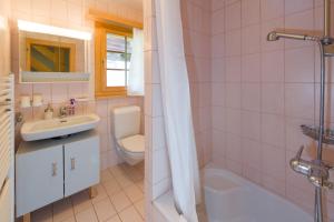 een badkamer met een wastafel, een toilet en een douche bij Spieliweida in Grächen