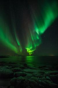 an aurora in the sky over a body of water at Adventure Senja in Skrollsvika