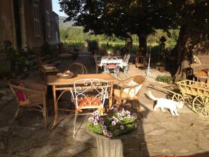 a cat is walking around a table and chairs at B&B Domaine Le Clos du Pavillon in Brignoles