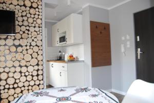 Kuchyňa alebo kuchynka v ubytovaní Pałac Tatrzański-Apartament 206