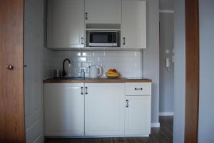 Kuchyňa alebo kuchynka v ubytovaní Pałac Tatrzański-Apartament 206