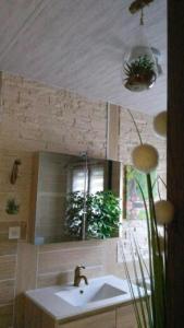 a bathroom with a sink and a mirror at Gite et Studio "A l'accueil des Papillons" in Courrières