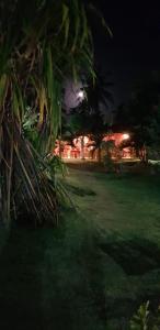 a park at night with palm trees and lights at Pousada Malea in Icaraí