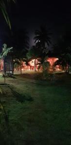 un parc de nuit avec des palmiers et un bâtiment dans l'établissement Pousada Malea, à Icaraí