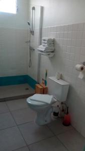 a bathroom with a toilet and a shower at Hotel-Restaurant La Dunette in Sainte-Anne