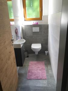 a small bathroom with a toilet and a sink at Sonnseitn Klaunz27 in Matrei in Osttirol