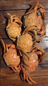 a group of crabs sitting on a wooden table at Villa Sosnovy Bor in Zatoka