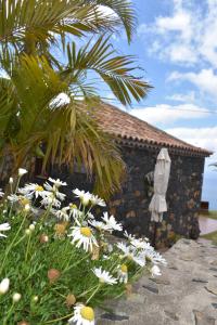 A garden outside Casa Garcia-Mar
