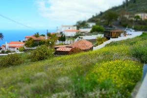 Táj Show holiday homes közelében