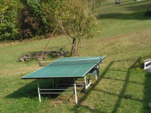 a green ping pong table in a grassy field at Krkonosska Chalupa in Semily