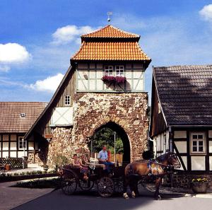 a horse drawn carriage in front of a building at Ferienapartment ''Zum Stollenkönig'' in Neustadt/Harz +12 photos