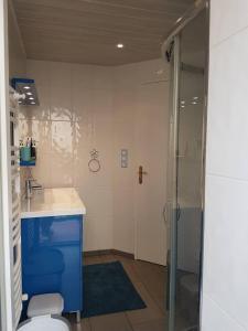 y baño con ducha, aseo y lavamanos. en 23 Rue Jean Amade, en Céret