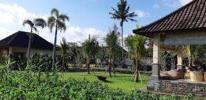 un patio con palmeras y una casa en Pelangi Villas Sidemen, en Sidemen