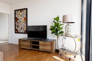 a living room with a tv and a table with a plant at 4 Bedroom Luxury City Penthouse Apartment in Wagga Wagga