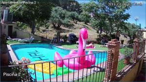 a pool with a pink inflatable duck in the middle at Alojamiento Nohal in La Iruela