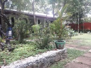 Taman di luar Sigiri Jungle Villa